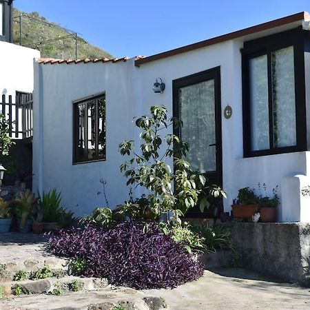 Casita De La Montana De Maria Villa Tegueste Ngoại thất bức ảnh