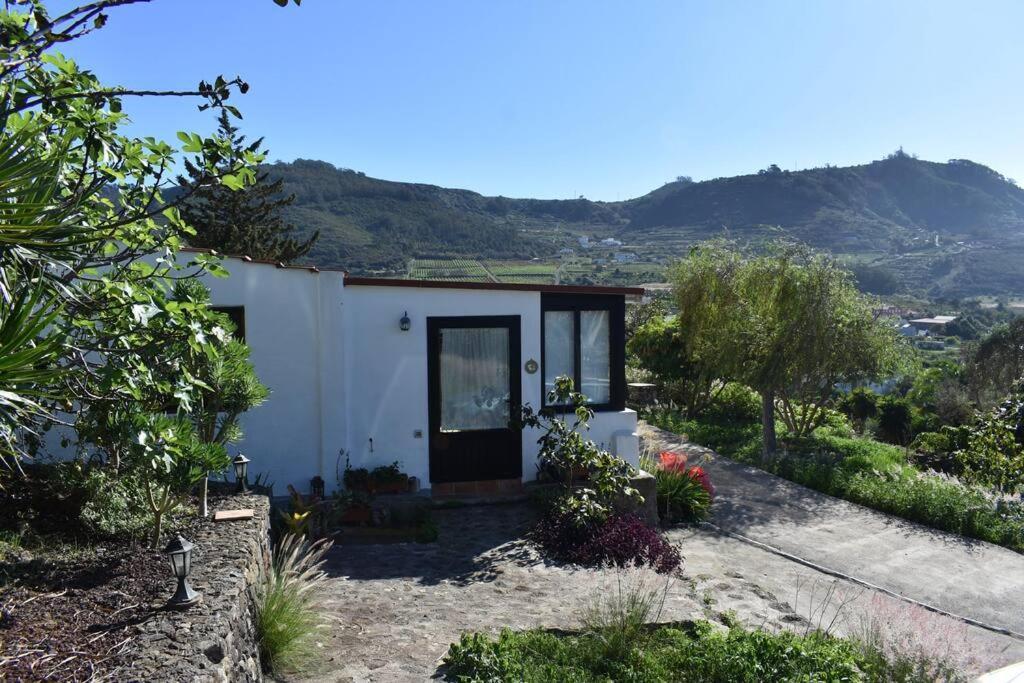 Casita De La Montana De Maria Villa Tegueste Ngoại thất bức ảnh